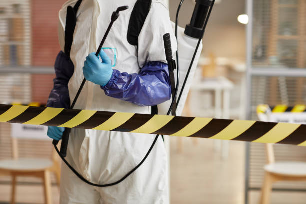 Professional Blood Cleanup technician working in High Ridge, MO